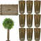 Creperture 10 Pezzi di Protezione per Tronco delle Piante, Regolabile Protezione per Corteccia D'albero Previene Danni da Tagliatori per Proteggere Le Piante Tree e Piantine