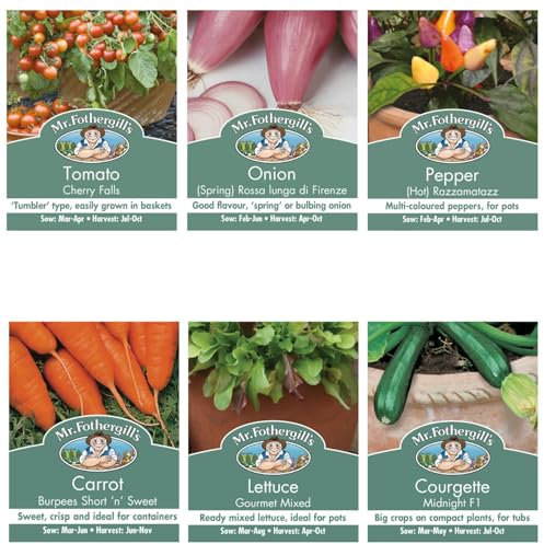 Mr. Fothergills Seedbox Pots about Veg Collection (1930 seeds), Tomato, Onion, Pepper, Carrot, Lettuce, Courgette, Vegetable Seeds Collection