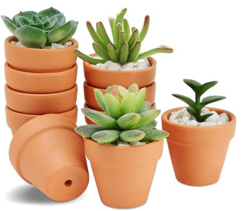 HDKAJL 10 Pot Terre Cuite, Pot de Fleur Terre Cuite, Mini Pot de Fleur en Céramique avec Trou de Vidange, Pot Plante Intérieur pour Cactus Intérieur Extérieur Plantes Maison Succulentes (4,5 x 4 cm)