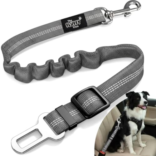 Ceinture Chien Voiture Ajustable et élastique, Ceinture de sécurité Chien