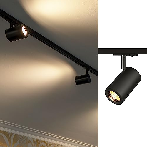 ENOLAB TRACK SPOT, QPAR51, NOI