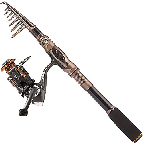 PLUSINNO - Canna da pesca telescopica con mulinello in fibra di carbonio, per acqua salata e dolce, kit con canna da pesca
