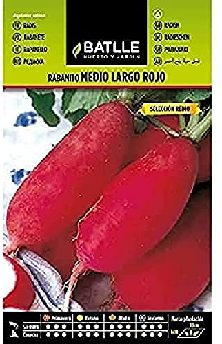 Semillas Batlle Röd Datte Radis - Redio