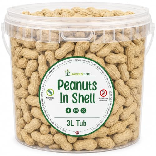 Premium Peanuts In Shell Monkey Nuts 3L Tub
