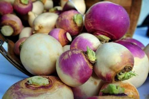 SEMILLAS nabo, púrpura superior blanco Mundo NABO, herencia, orgánico, no GMO, VEGATABLE