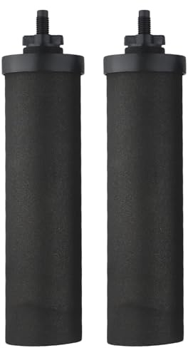 MonoSora Lot de 2 éléments filtrants à eau, charbon actif en coquille de noix de coco, certifié NSF, pour purification de l'eau extérieure et domestique, noir
