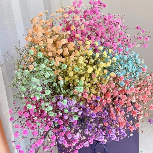 schleierkraut samen winterhart, saatgut blumen,gartensamen kletterpflanzen samen,steingarten pflanzen balkon blumen,balkonpflanzen winterhart mehrjährig blumen samen,schmetterlinge 300pcs