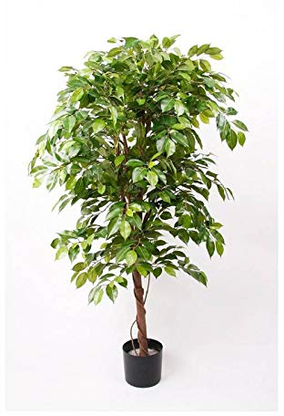 artplants.de Fake Ficus Benjamina BARTOLO, real stem, green, 7ft/200cm - Artificial weeping fig tree/Faux ficus tree