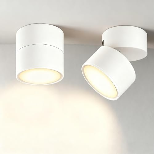 EBION GX53 Ceiling Lights,90° Swivel Ceiling Spotlights 2 Pack,IP54 Waterproof Aluminium Surface-Mounted Downlights for Ceiling,Suitable for Living Room,Bedroom,Bathroom,Hallway,Balcony,White