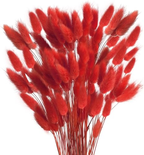 Minnhua 120 Pezzi Fiori Secchi Decorativi,Pampas Decorative, Arancione Fiori Essiccati di Bunny Tails,Fiori Secchi Naturali,Erba di Pampa Essiccata Naturale per Matrimoni, Feste, Decorazioni Boho