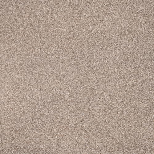247Floors Flecked Twist Pile Carpet Roll, Hardwearing Felt Backing (8m x 4m, Rye Beige)