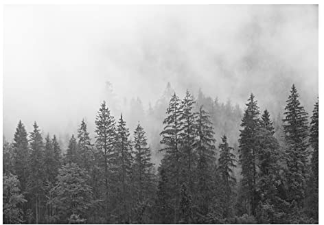 Fototapete Schwarz Weiß Wald Nebel Landschaft Grau Bäume Wohnzimmer Schlafzimmer Wandtapete Vlies Tapete UV-Beständig Montagefertig (13909, VEXXXL (416x254 cm) 4 Bahnen)