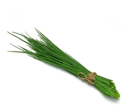 Sachet de graines de Ciboulette Bio - 0,50g - Les Graines Bocquet