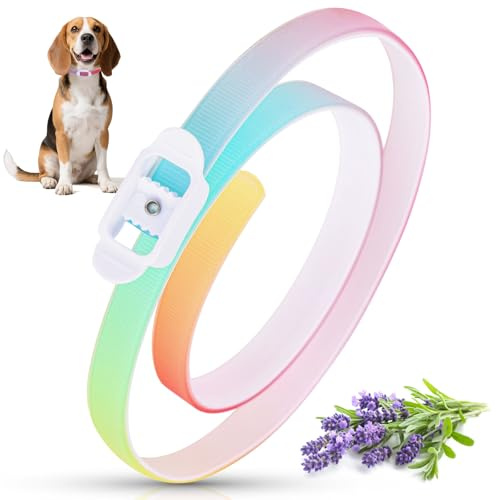 Collare Antiparassitario per Cani, Naturali Collare Antipulci e Zecche per Cani, Collari Antipulci e Zecche Impermeabili, Protezione 8 Mesi