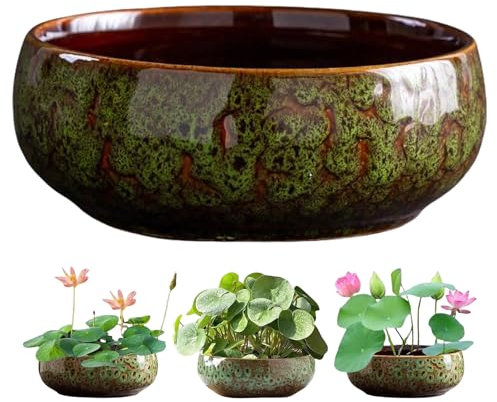 Vaso per piante di loto, ciotola di loto per piantare in acqua, ciotola per bonsai, vaso di semi di loto, decorazione idroponica per interni, vaso da fiori bianco (B)