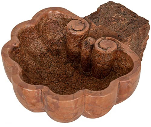 Biscottini acquasantiera in marmo 30x26x13 cm | acquasantiera a forma di conchiglia, per case e chiese