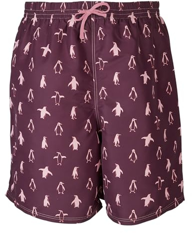 Kes-Vir Men's Penguin Board Eco-Shorts, with Built-in Waterproof Inner Briefs Incontinence Swimwear, Chlorine Resistant UVF 50+ Fabric, Large