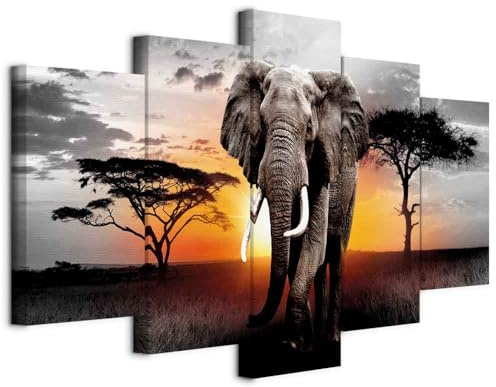 murando - Quadro Fonoassorbente Elefante 100x50 cm 5 Pezzi - Canvas con - Quadri Acustici Componibili XXL Grandi - Pannelli Fonoassorbenti Decorativi - Decorazione Soggiorno g-C-0054-b-o