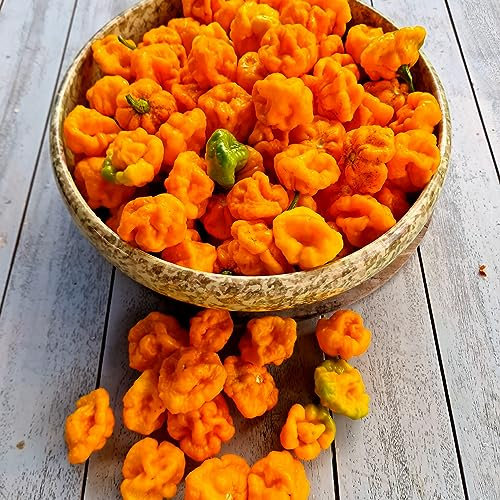 Scotch Bonnet Foodarama Yellow Chilli Seeds - Scotch Bonnet Foodarama Yellow Pepper Seeds