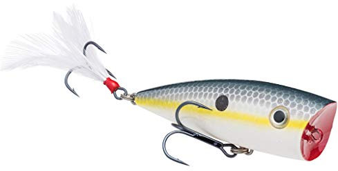 Strike King KVD Splash Fishing Lure, Topwater Popper, Sexy Shad