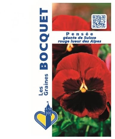 Sachet de graines de Pensée géante de Suisse rouge Lueur des Alpes - 0,5 g - fleur bisannuelle - LES GRAINES BOCQUET