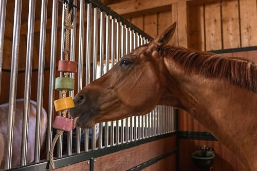 Horse Treats – IMIMA Lolly-Lick NO STRESS 2-Pack with Chamomile & Lavender – Calming Natural Horse Treats for Box, Paddock, Stall – Includes FREE Hanging Rope