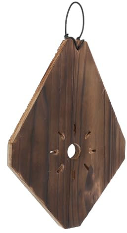 FONDOTIN Carbonisiertes Holz Geweihfarn Wandregal Pflanzenhalter Leicht Und Robust Hängeübertopf Für Orchideen Und Sukkulenten Innenbereich Für Wohnzimmer Balkon Küche Platzsparendes Dekor