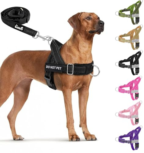 Eyein No Pull Harness for Dogs - Heavy Duty Soft Padded Pet Vest and Lead Set for Medium Large Dog, Adjustable Reflective Anti-pull with Front Clip for Walking Training (Black,XL)