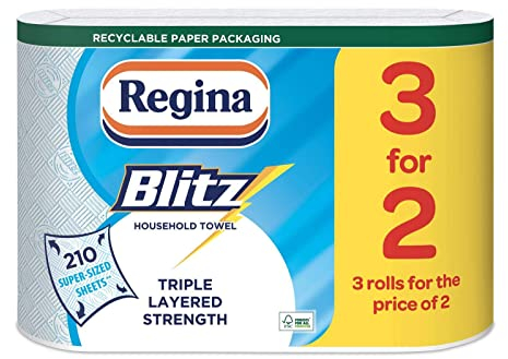 Regina Blitz 12 Rolls Original Kitchen Rolls in Recycled ECO Paper Bag