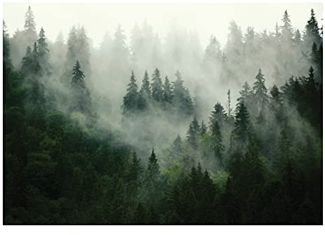 WallArena - Vlies Fototapete Wald Nebel Landschaft Grün Natur Bäume 254x184 cm - Fototapeten - Tapeten - für Wohnzimmer Schlafzimmer - Vliestapete Wandtapete Tapete 3D Effekt- inkl. Kleister