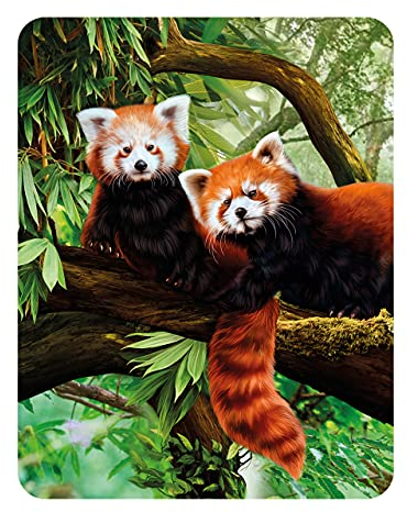 3D LiveLife Magnet - Red Pandas from Deluxebase. Lenticular 3D Wild Animal Fridge Magnet. Magnetic decor for kids and adults with artwork licensed from renowned artist, Katrina Sokolo