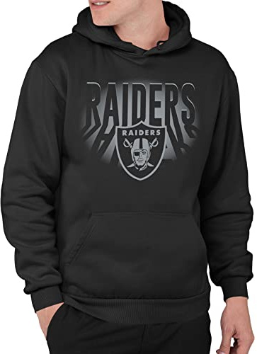 Junk Food unisex - vuxen Nfl Team Spotlight Hoodie Tröja med huva