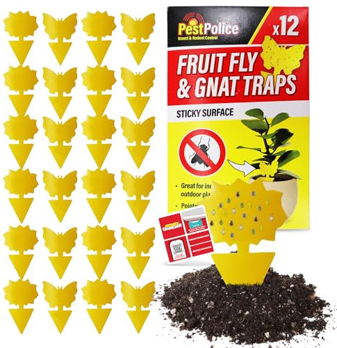 SOL 24pk Fruit Fly & Gnat Traps, Yellow Sticky Fungus Killer for Indoor & Outdoor Plants, Fruit Flies Sticker Catcher for Home Use, Easy to Use, Safe & Effective, Keeps Plants Healthy & Pest-Free