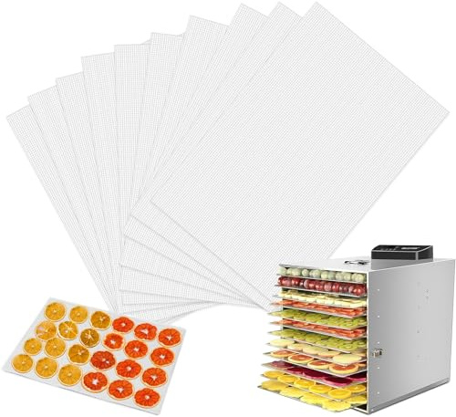 Herbst 10 pellicole per essiccatore automatico, 35 x 30 cm, riutilizzabili, per essiccatore a vapore, antiaderente, in silicone, per essiccatore rettangolare/rotondo