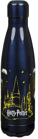 Undercover Harry Potter dubbelväggig termos i rostfritt stål – läckagesäker – för tonåringar – 500 ml – perfekt för resor