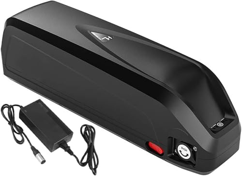 E-Bike Batteries pour vélo 48V 30Ah, Batterie Ebike 48V 30AH avec Chargeur Haute Puissance Batterie de vélo électrique 48V 30Ah pour Moteur 1000W 750W 550W 250W 48V 30AH
