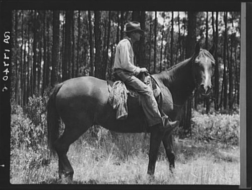HistoricalFindings Photo: Overseer in The Turpentine Woods,Georgia,GA,Farm Security Administration,FSA