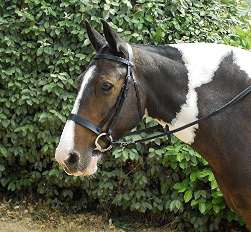 Windsor Hunter Bridle Havana Leather with wide Cavasson Noseband FULL With Rubber Reins