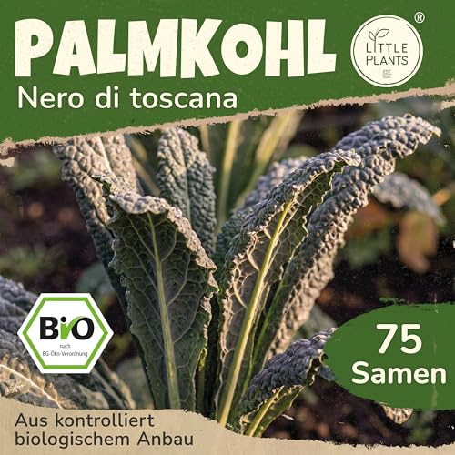 Little Plants BIO Palmkohl Samen 75 Palmkohlsamen Nero di Toscana Schwarzkohl Gemüsesamen Gemüsesaatgut für Gemüsegarten, Hochbeet, Küche, Balkon und Garten