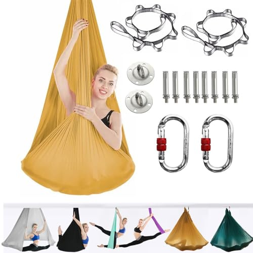 ARNTY Yoga Set per Adulti, Accessori per Yoga, Carico 500 kg, Incluso Hardware di Installazione Completo (Gold)