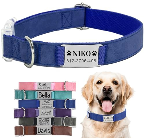Collar de Perro Personalizado con Placa de Identificación - Etiquetas Grabadas Personalizadas, Collares únicos y Cómodos, Adecuados para Perros y Gatos Pequeños, Medianos y Grandes, (M,Azul)