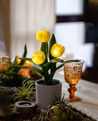 Minidiva Lampe tulipe artificielle avec lumière LED, veilleuse en forme de tulipe avec vase, lampe de table au toucher réaliste pour décoration d'intérieur, arrangements de mariage, cadeau pour fête,