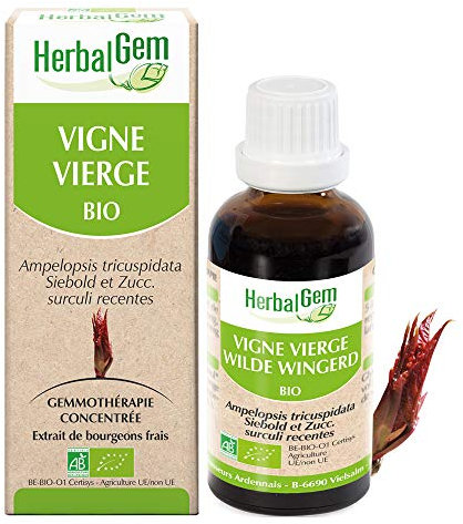 HERBALGEM - Macérât-Mère - Vigne Vierge Bio - Complément Alimentaire Gemmothérapie Concentrée - Extrait De Bourgeon Frais - Pour Circulation, Antioxidant, Santé Peau & Cardiovasculaire - Vegan - 30 ml