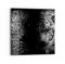 DEQORI Glasbild Acrylglas | Motiv Leopard und Tiger | quadratisch einteilig 50x50 cm | schöne Dekoration | Wandbild für Wohnzimmer, Schlafzimmer, Flur & Küche | moderne Wanddeko