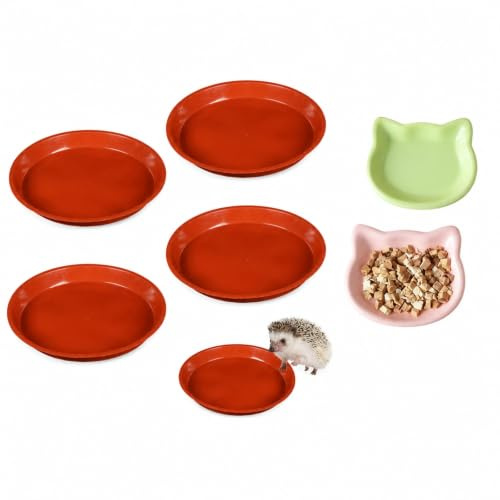 STIFFENERS 6-Piece Hedgehog Feeding Station and Hamster Food Bowls, Flat Edge Small Animal Water Bowl Set in Mixed Colours for Indoor Pets and Garden Wildlife