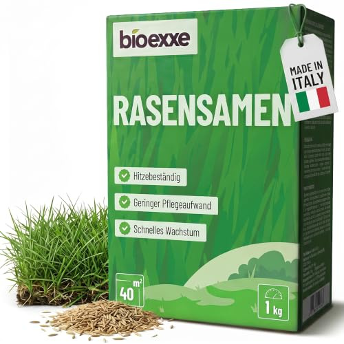 BIOEXXE Semillas Cesped Resistente Raigrás Inglés 40 m² - Festuca Arundinacea Grama Gruesa Crecimiento Rápido - Semillas de Césped Repoblador Rápido