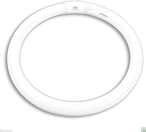 Neon Circolare 'Trifosforo' Luce Naturale 4000 °K.