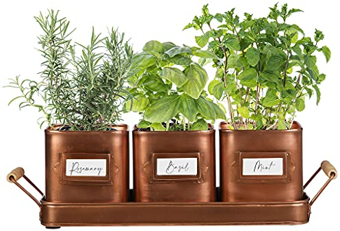 Dibor Indoor Herb Planters on Tray Set of 3 Rustic Copper Metal Kitchen Windowsill Plant Pots Spring Summer Wedding Anniversary Gardening Gift