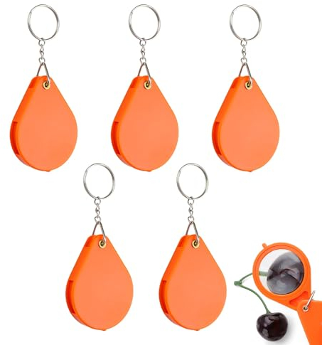 LERANXIN 5 Stück Mini Lupe 10-fache Taschenlupe Faltbare Leselupe Tragbare Lupen Vergrößerungsglas Anwenden Klein Lupe für Lesen Bücher Zeitungen Landkarten Schmuck Reparieren Basteln