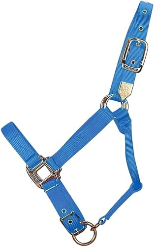 Hamilton Deluxe Horse Halter, 1 Triple Ply Nylon with Adjustable Chin Strap, Small Horse or Weanling Draft, 500-800 lbs, Berry Blue